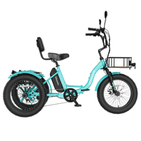 FT1 Fat Tire Electric Trike