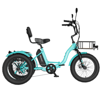 FT1 Fat Tire Electric Trike