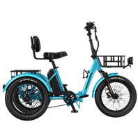 TK2 PRO Electric Trike
