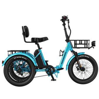 TK2 PRO Electric Trike