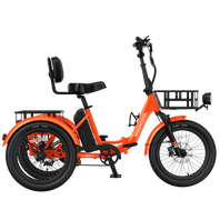 TK2 Folding Electric Trike