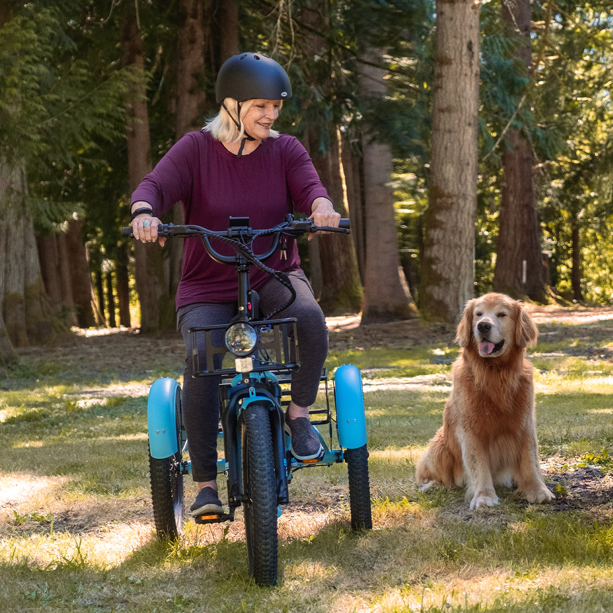 TK2 Folding Electric Trike