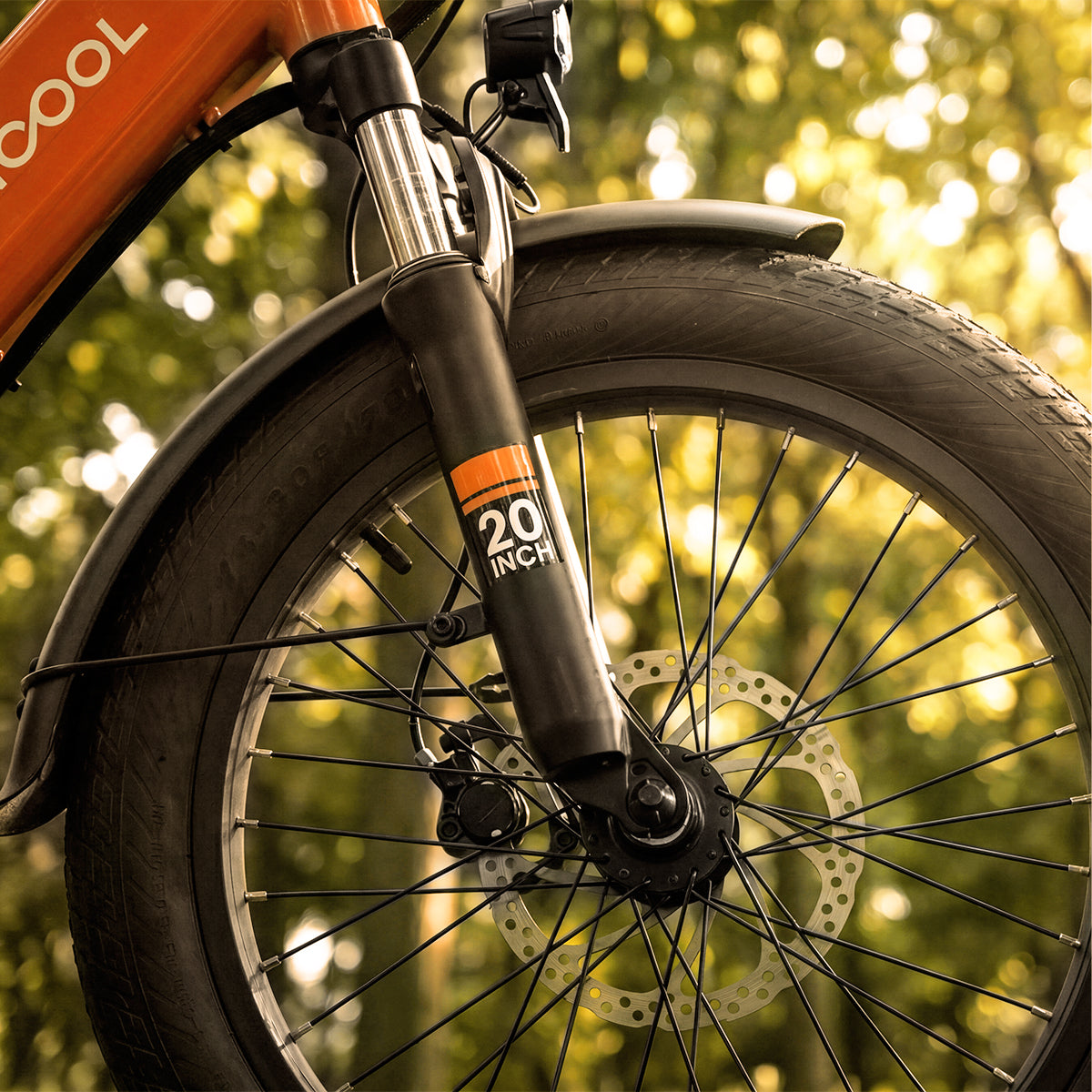 POP Folding Electric Bike