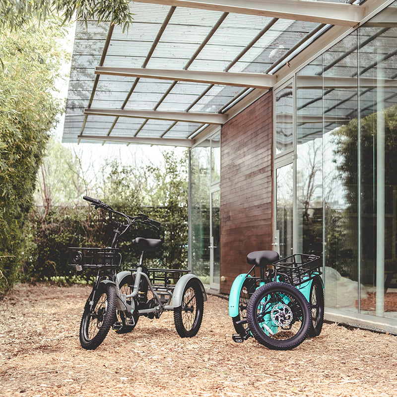 electric tricycle