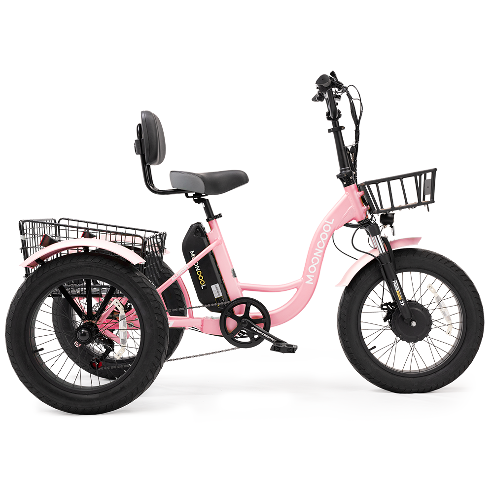 TK1 Fat Tire Electric Trike