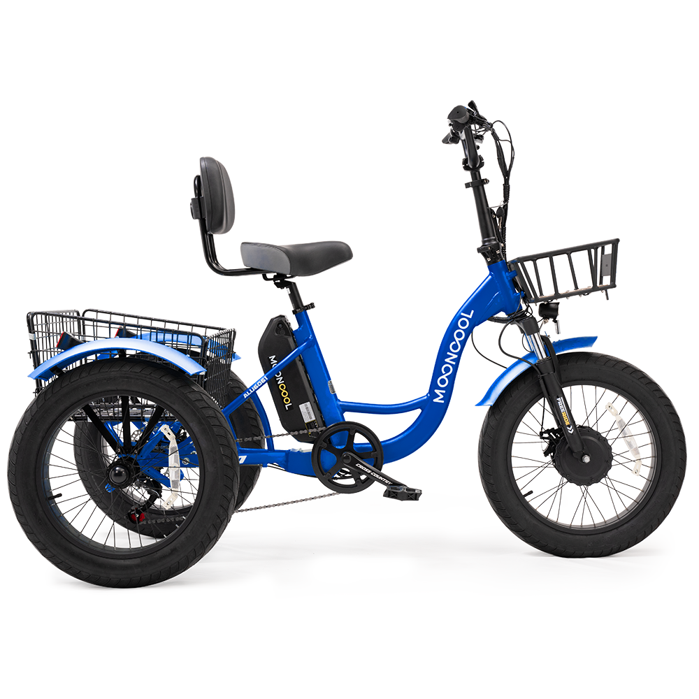 TK1 Fat Tire Electric Trike