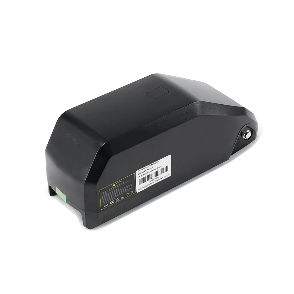 MC 24V/10.4Ah Trike Battery for CD1