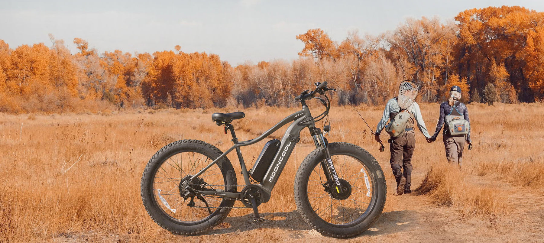 mooncool electric bike