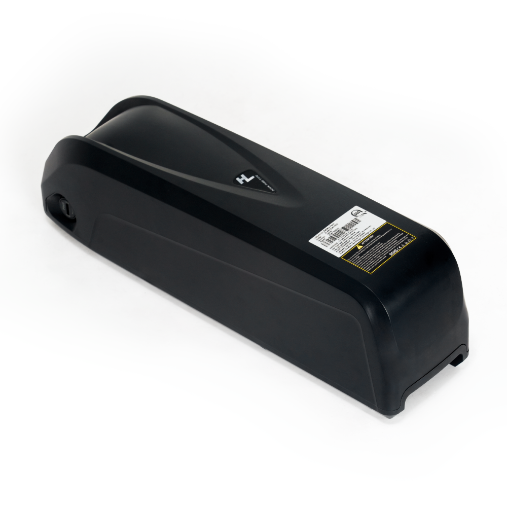 MC 48V/20Ah Trike Battery for TK Pro