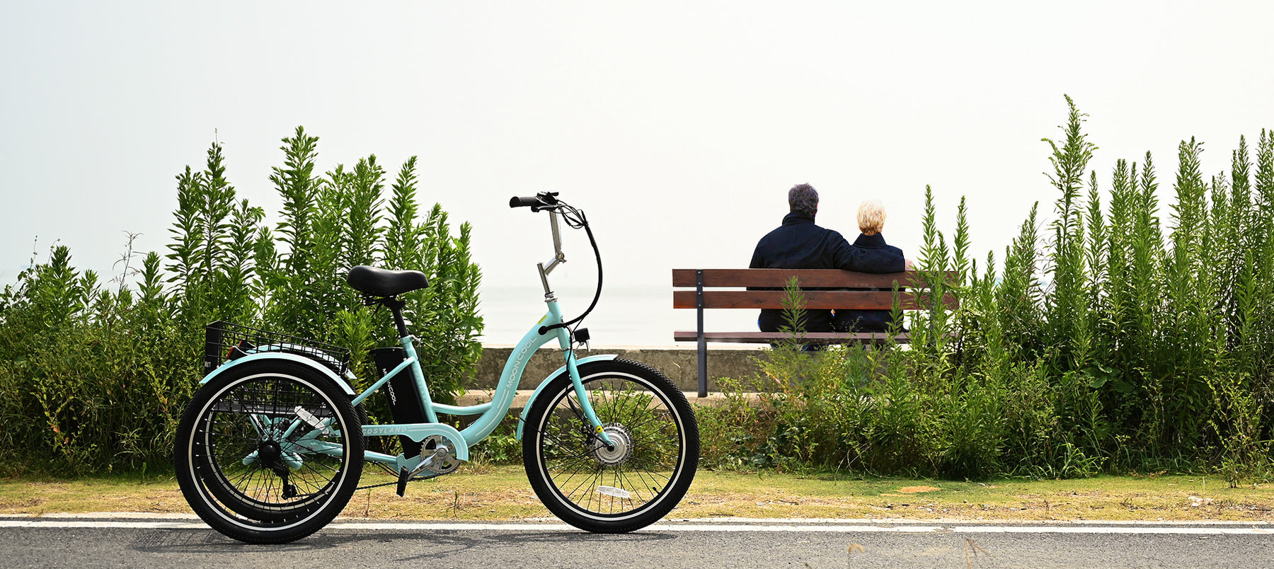 electric trikes for old women