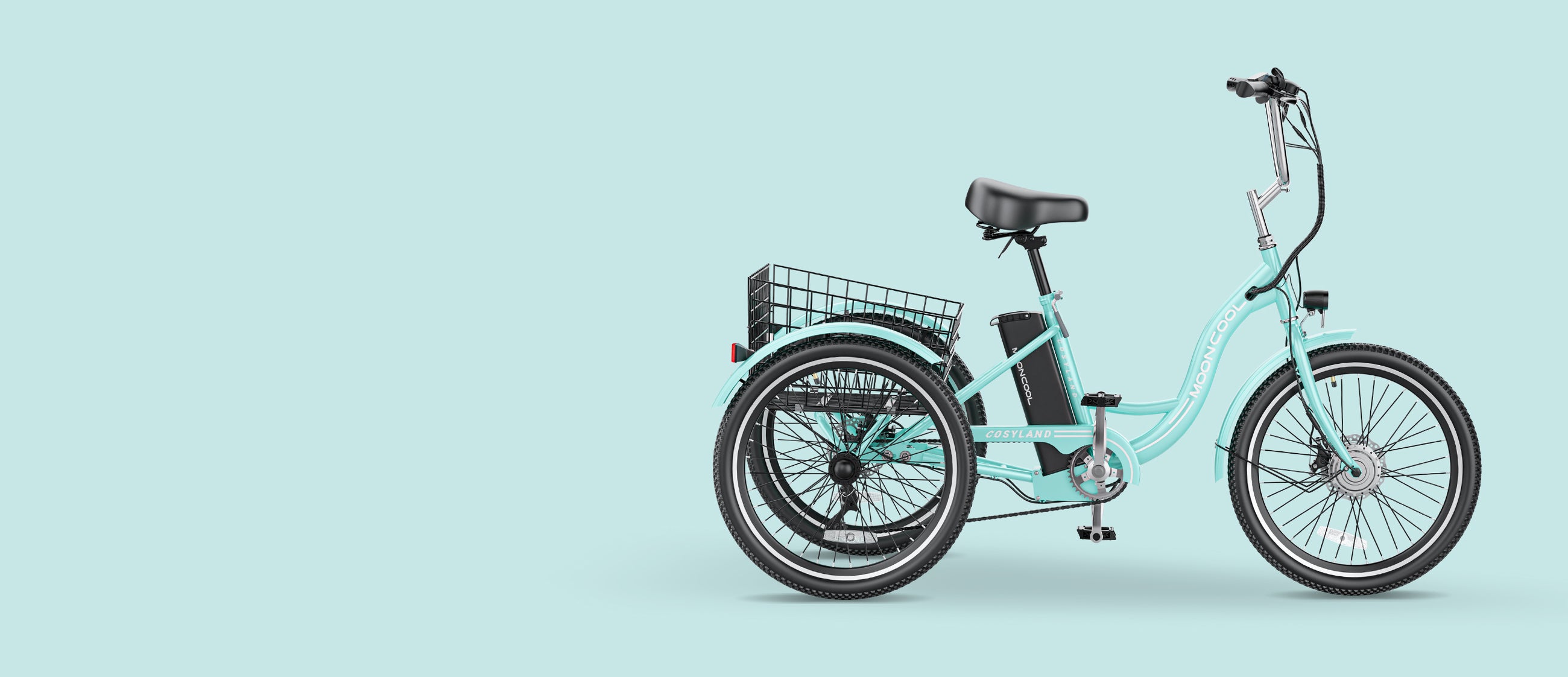 electric trike