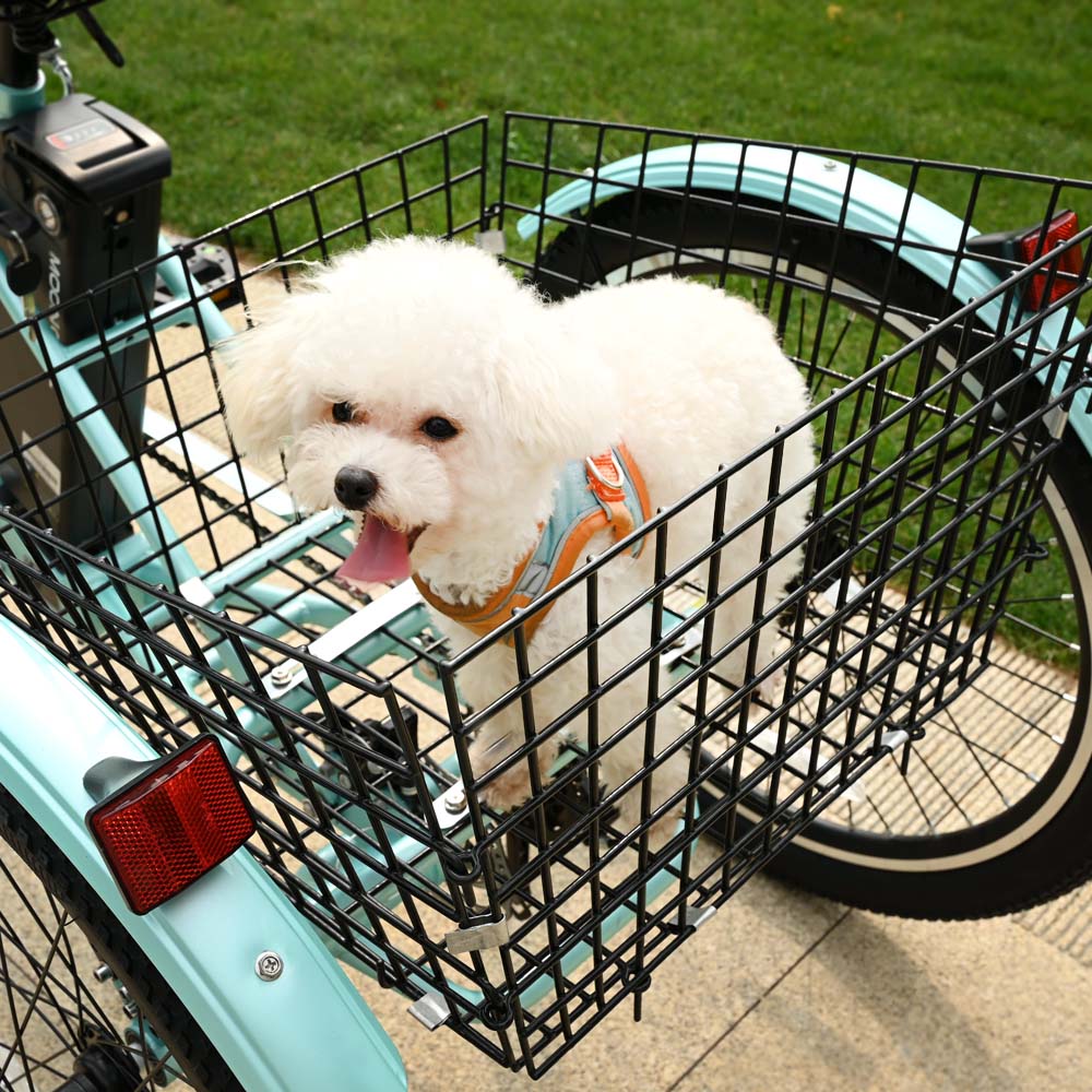 MC Large Rear Basket